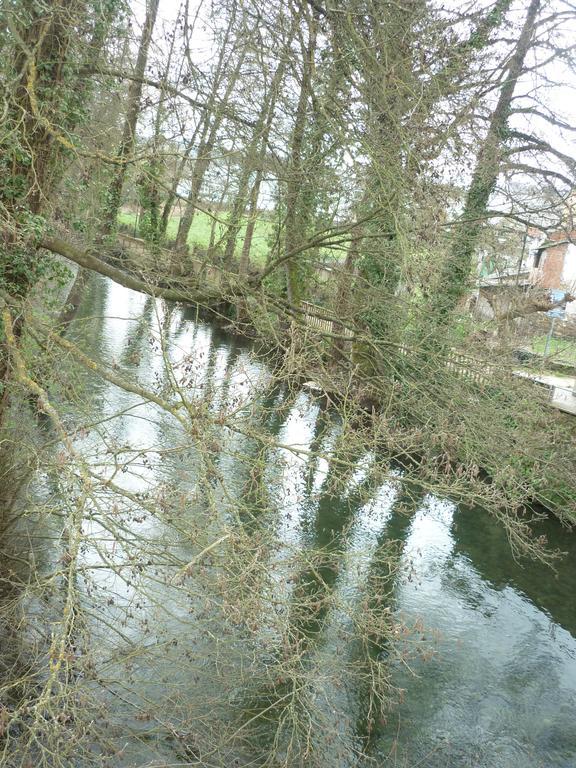 Pension-Albergue Puente Ribeira Саррия Екстериор снимка